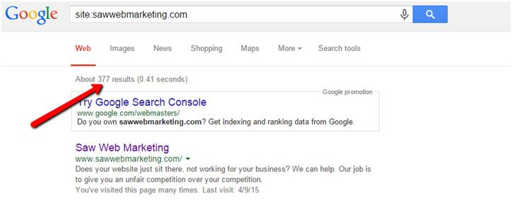 index status - Marketing in the Age of Google