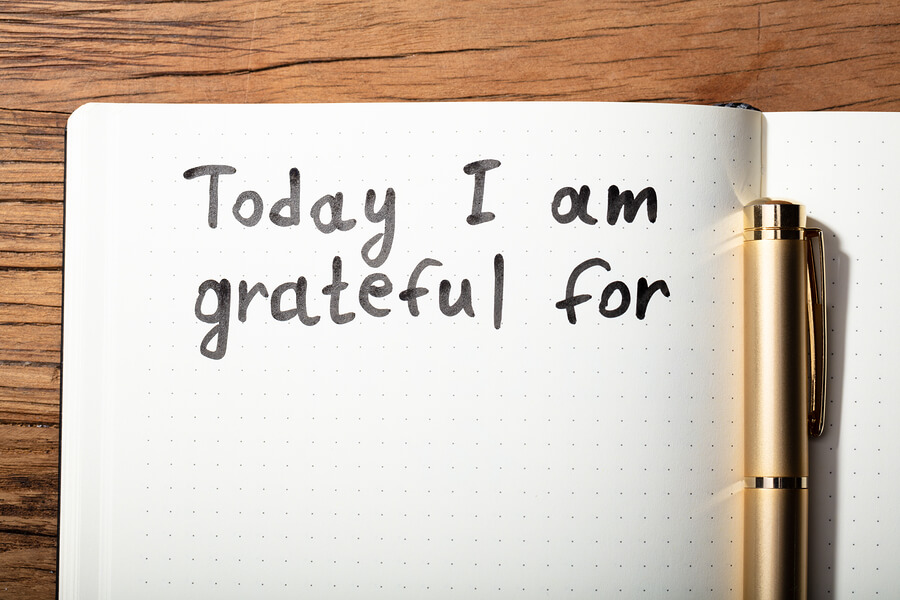 gratitude - Gratitude